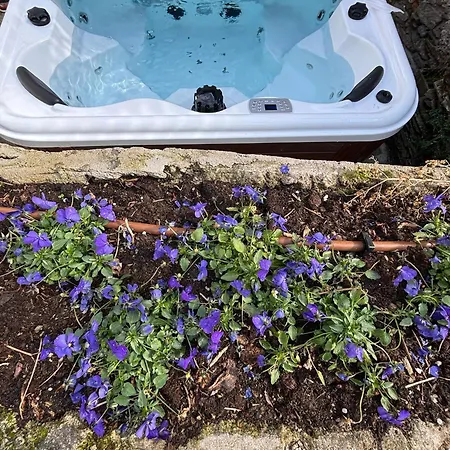 Complex Levoasi Apartment Stresa