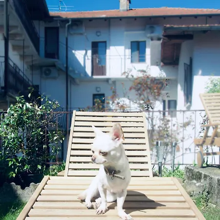 Complex Levoasi 公寓