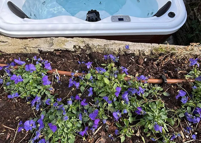 Complex Levoasi דירה סטרסה