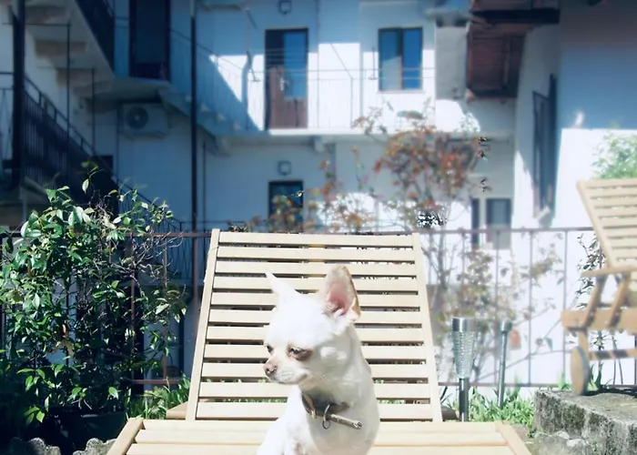 Complex Levoasi דירה