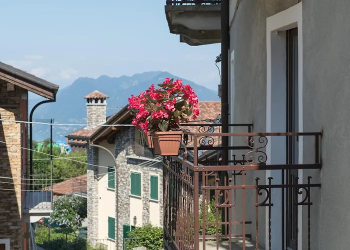 Apartament Complex Levoasi *