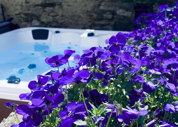 Complex Levoasi Stresa